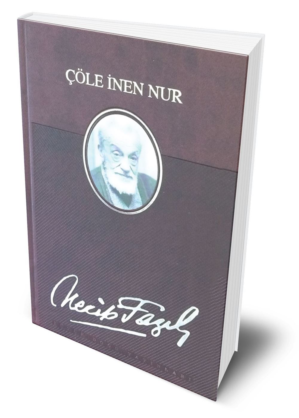 Çöle İnen Nur (Deri Ciltli)